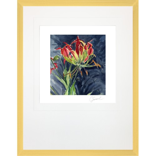 CL- GLORIOSA LILY 1